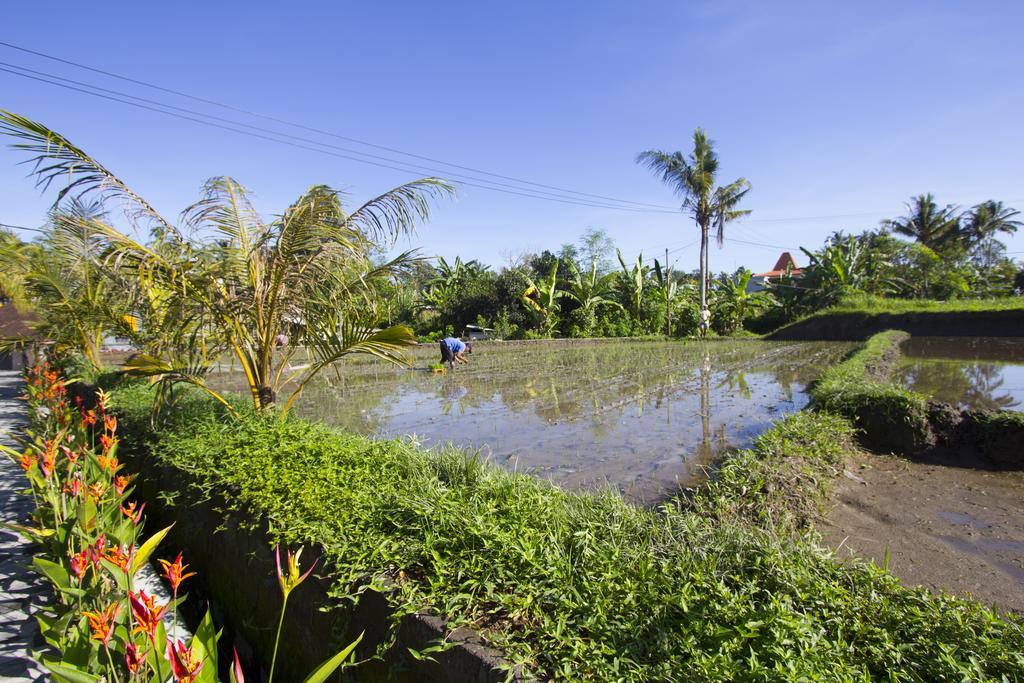 Baruna Sari Villa Ubud  Exterior photo